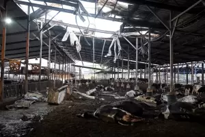 Lanzaron ms 100 misiles contra Israel y hay cuatro personas heridas