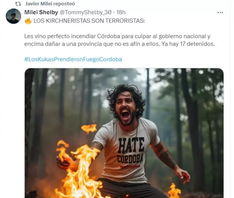 milei incendios