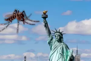 La terrible noticia sobre los mosquitos en Nueva York que preocupa a todos