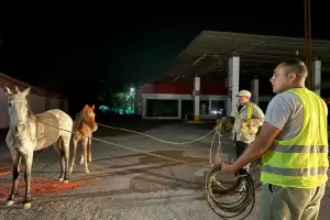 Se realiz un mega operativo de Seguridad en Beln y Londres