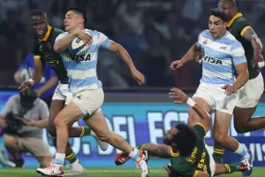 Los Pumas van por la gloria en el Rugby Championship ante Sudfrica