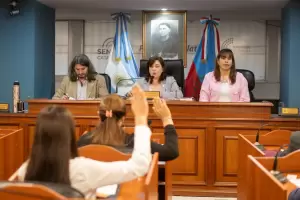 Senado: sanci�n definitiva para el Banco Provincial de Pr�tesis