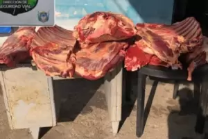 Tras un control vehicular, decomisaron 172 kilos de carne vacuna