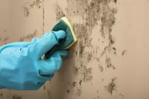 Cul es el truco para limpiar las manchas de humedad en la pared con solo dos ingredientes