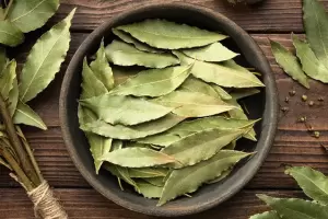 Cundo debes quemar las hojas de laurel para atraer la abundancia y prosperidad