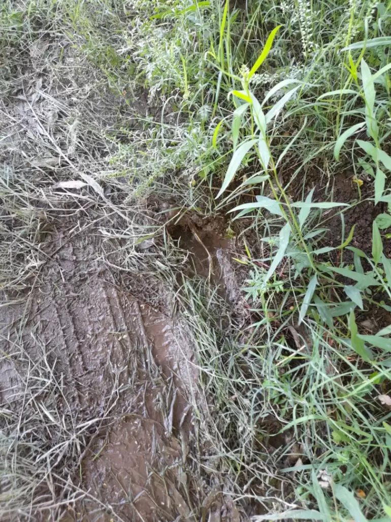 perdida barrio union