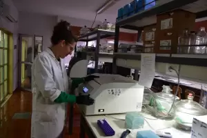 CONICET-UNCA rechazaron la campaa de desprestigio hacia los cientficos