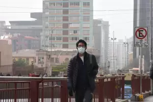 Desastre ambiental en Bolivia: 9,8 millones de hectreas se incendiaron