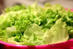 Cunto tiempo dura la lechuga en la heladera sin que se marchite