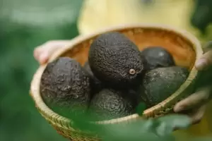 El infalible truco para saber si la palta est madura antes de comprarla