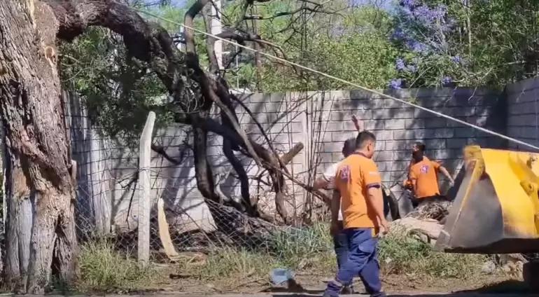 caida tipa valle viejo