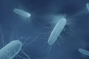 Preocupacin en EEUU por escuelas que recibieron productos que estaran contaminados con listeria