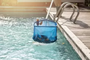 El truco definitivo para mantener la pileta impecable todo el verano