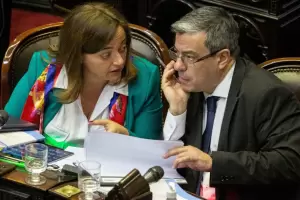 Fuertes crticas del kirchnerismo a los dichos de Milei sobre Cristina