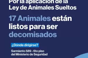Decomiso de 17 animales por parte del Ministerio de Seguridad