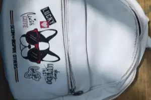 Detuvieron a dos arrebatadores: haban robado un celular