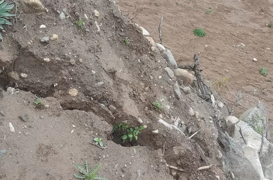 Foto gentileza Jess Maza