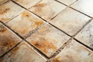 Cmo limpiar las juntas negras de las baldosas con agua oxigenada?