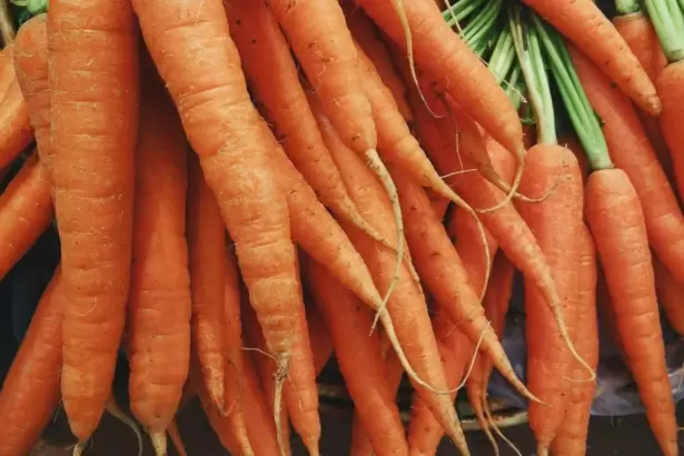 Por qu� recomiendan dejar las zanahorias blandas en agua por 1 hora