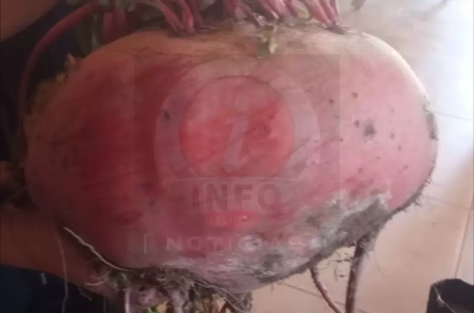 Foto gentileza Info Los Altos