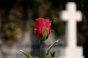 Urbanc presidir Misa en el cementerio municipal