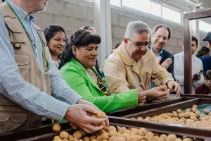 Inauguraron planta procesadora de nueces en San Jos