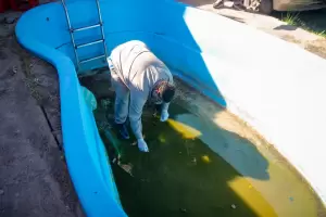 Prevencin del dengue: continan los controles focales