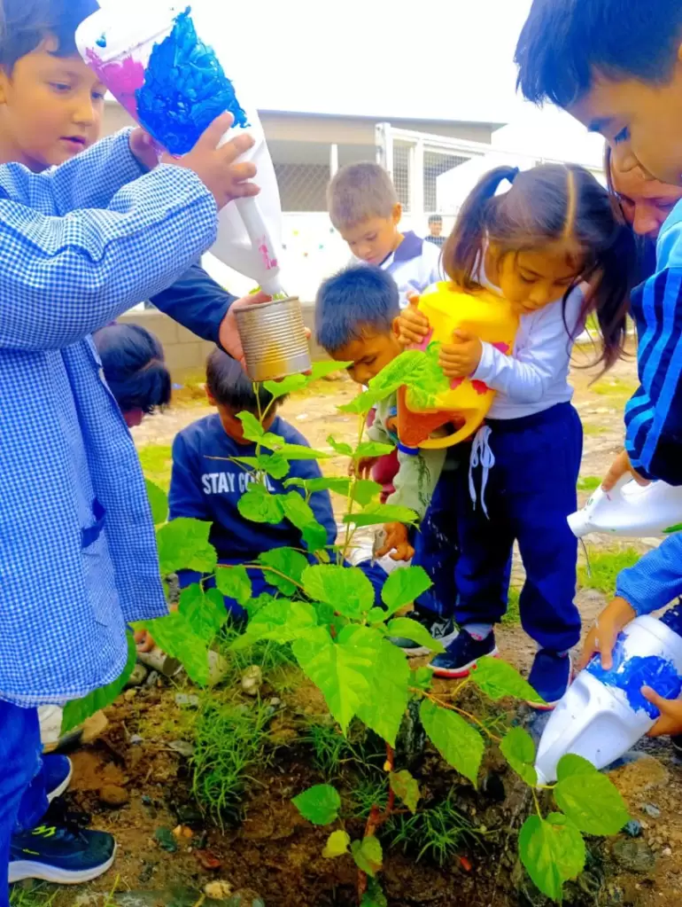 jardines forestacion 3