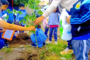 Forestacin en los Jardines de Infantes de la provincia