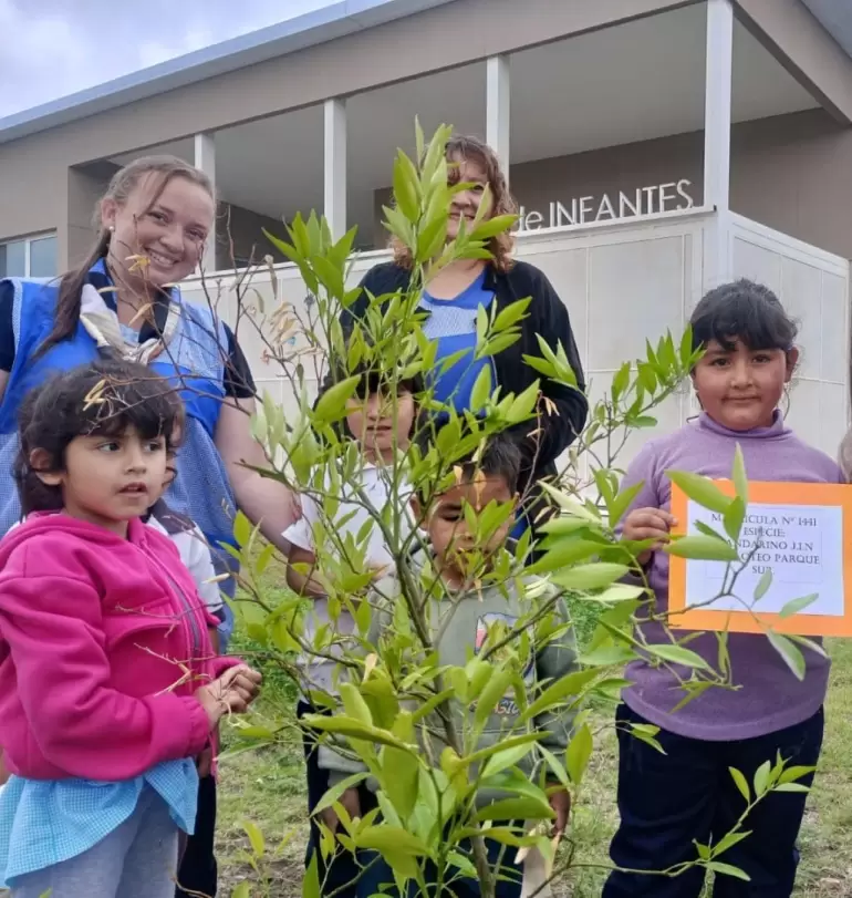 jardines forestacion 3