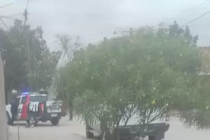 Se realiz la autopsia al hombre que se suicid tras apualar a su pareja