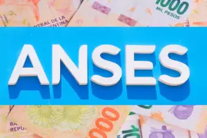 ANSES: este es el requisito para cobrar $35.000 en enero 2025