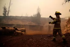 Chile declara alerta roja y evacuacin por incendios forestales