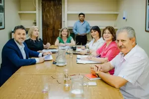 Diputados: despacho favorable para el proyecto de Concientizacin de la Enfermedad de Lyme