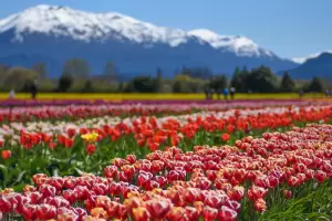 Cuatro pueblos argentinos fueron elegidos entre los mejores del mundo