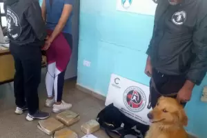 Secuestran ms de 4 kilos de marihuana y detienen a una mujer