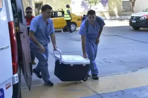 El Gobierno cre un programa nacional que cambia el trasplante de rganos en Argentina