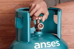 ANSES: Cmo acceder al Programa Hogar en diciembre 2024