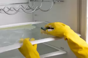 El truco para limpiar la heladera para evitar que que se forme moho