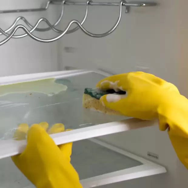 Mezclar vinagre, detergente y agua: la proporci�n exacta para que la heladera quede impecable