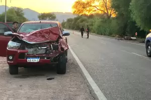 Otra vez: violento choque de una camioneta con dos equinos