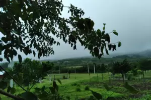 As estar el tiempo este jueves en la provincia