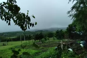 Nublado y caluroso: as estar el tiempo este sbado 11
