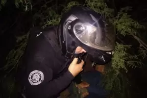 Entr a robar, se escondi en un rbol pero igual lo atraparon