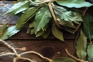 Qu hoja se debe colocar en la billetera para atraer prosperidad econmica