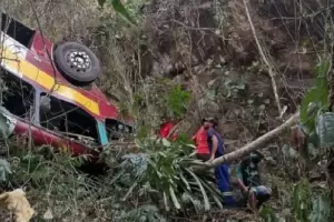 Tragedia en Brasil: al menos 17 muertos al caer un autobs a un precipicio