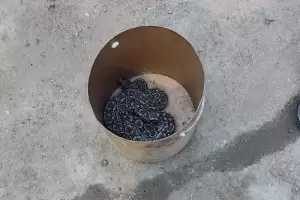 Se fue a Huaycama y regres con una lampalagua en el auto