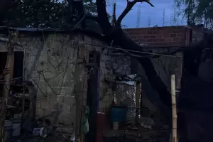 Cay un rbol sobre una humilde vivienda