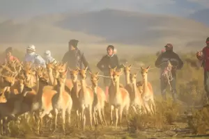 Chaku en Laguna Blanca: coordinan la participacin de turistas