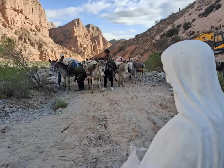 virgen traslado el tolar